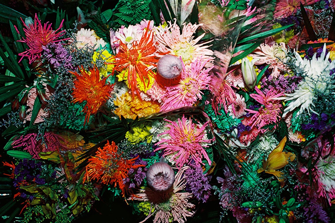 森田寫眞館が撮影した「N.Y」の写真