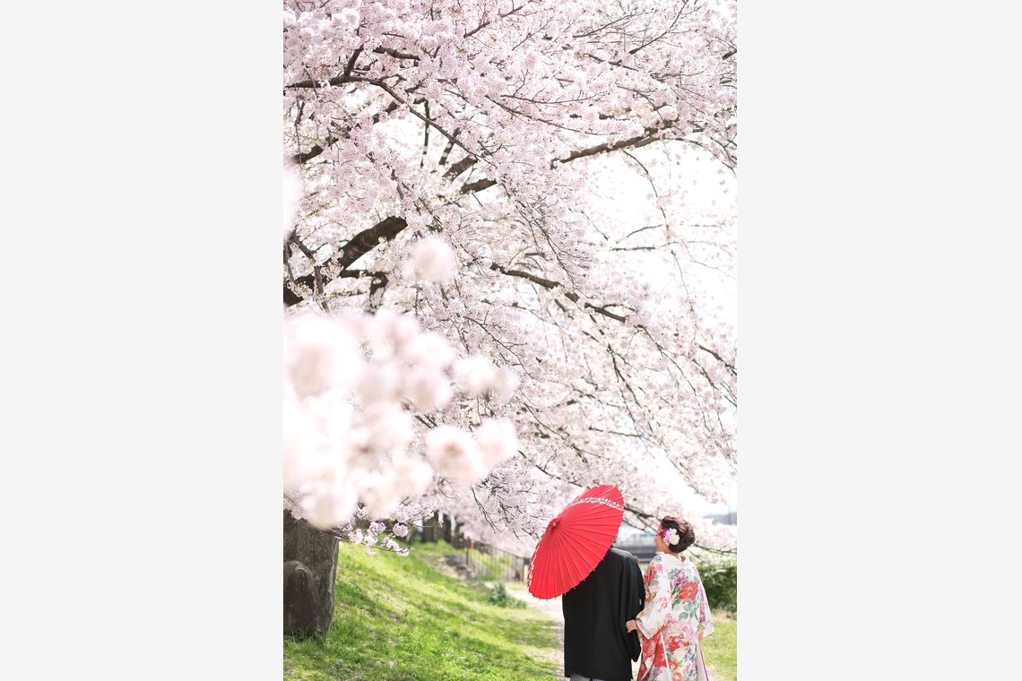アトリエカーシャが撮影した「京都の桜＆和装ロケ」の写真