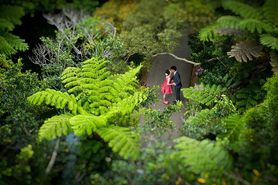 fotoShisa Photography（ピートリオン）が撮影した写真のアルバム「フォトギャラリー」