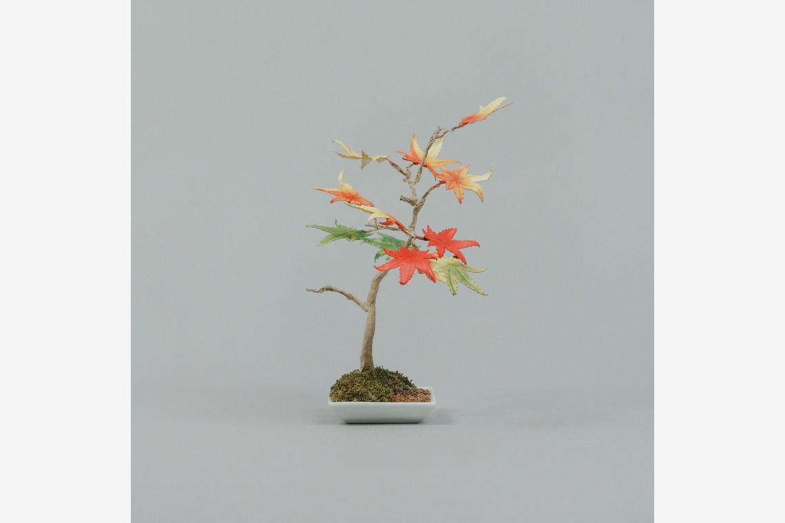 studio9thが撮影した写真のアルバム「埼玉県川越市/革盆栽」