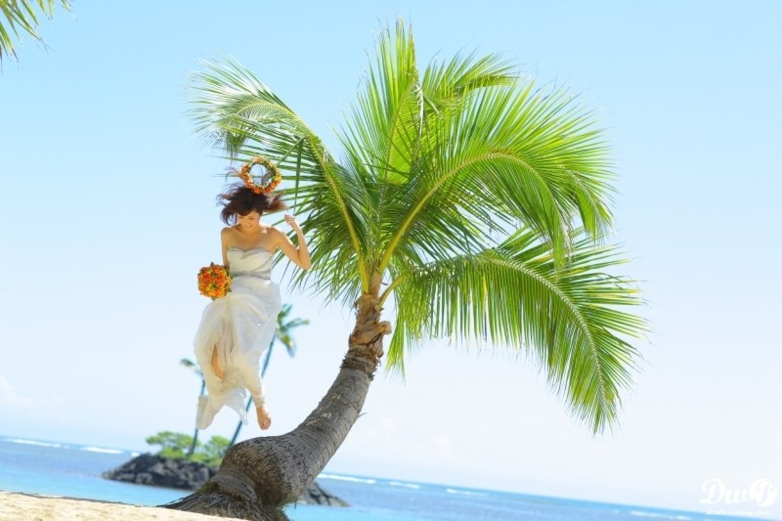 STUDIO Giroux (水間寿也)が撮影した「フォトギャラリー」の写真