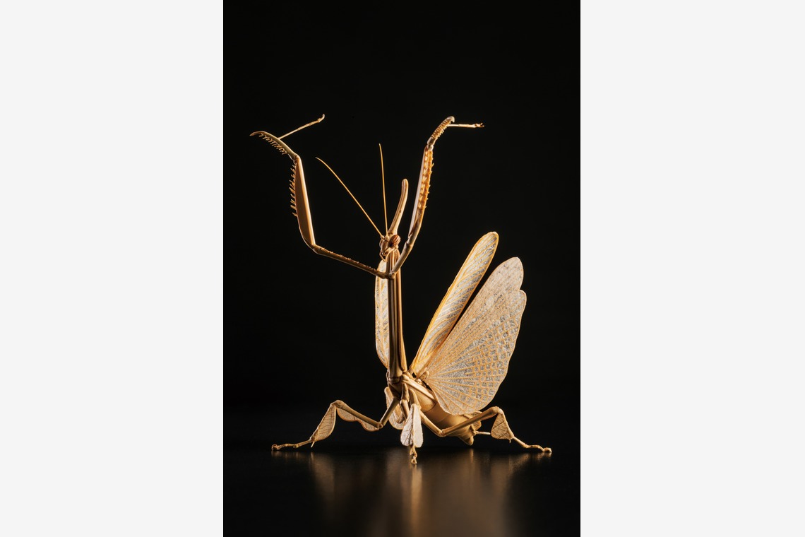 山畑俊樹が撮影した写真のアルバム「アート作品」