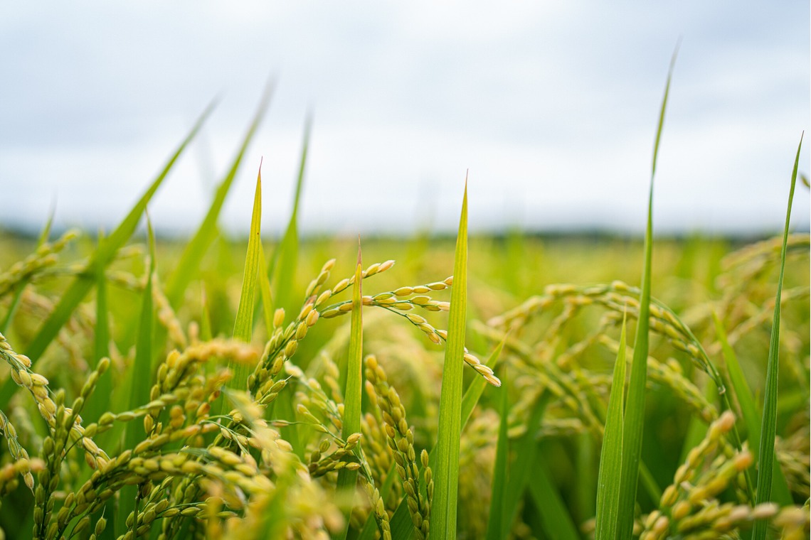 吉田　亘が撮影した写真のアルバム「Landscape photography」