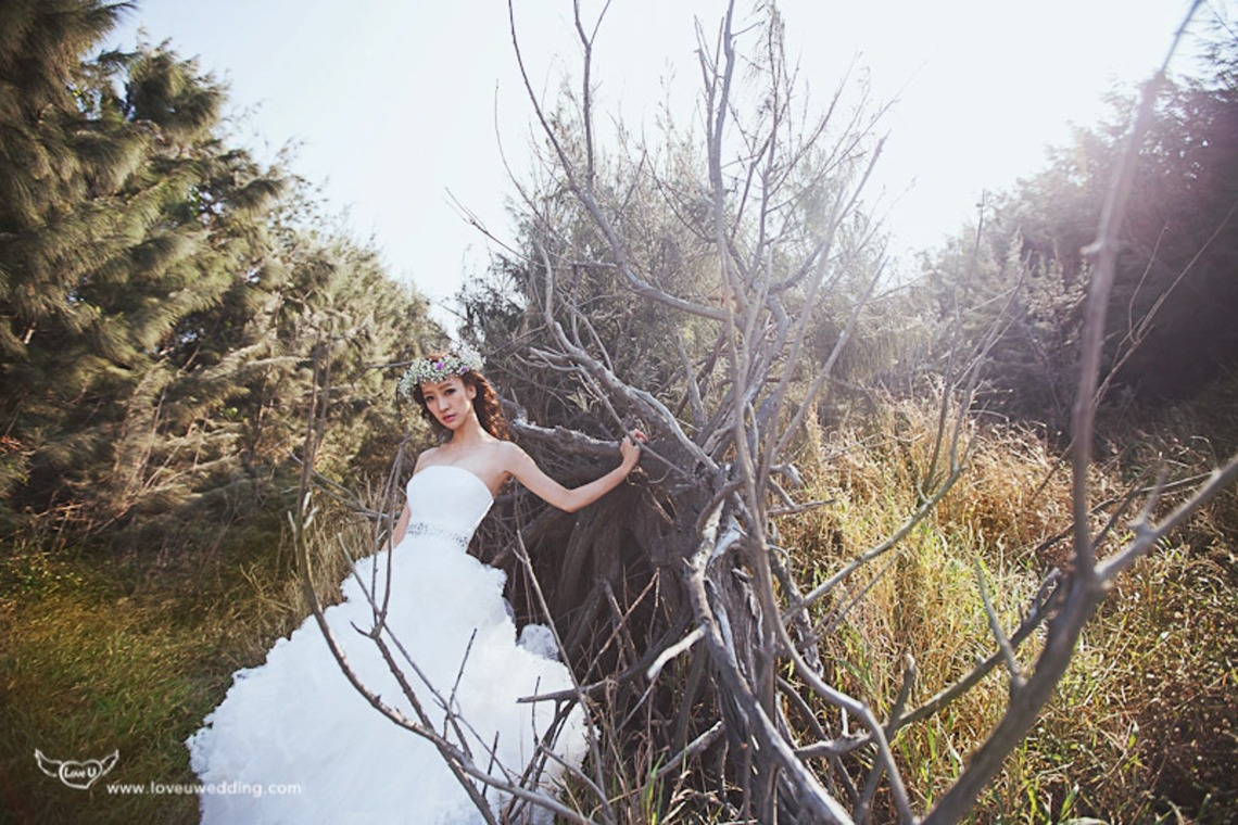 Trust photoが撮影した「台湾のKentingの場所」の写真