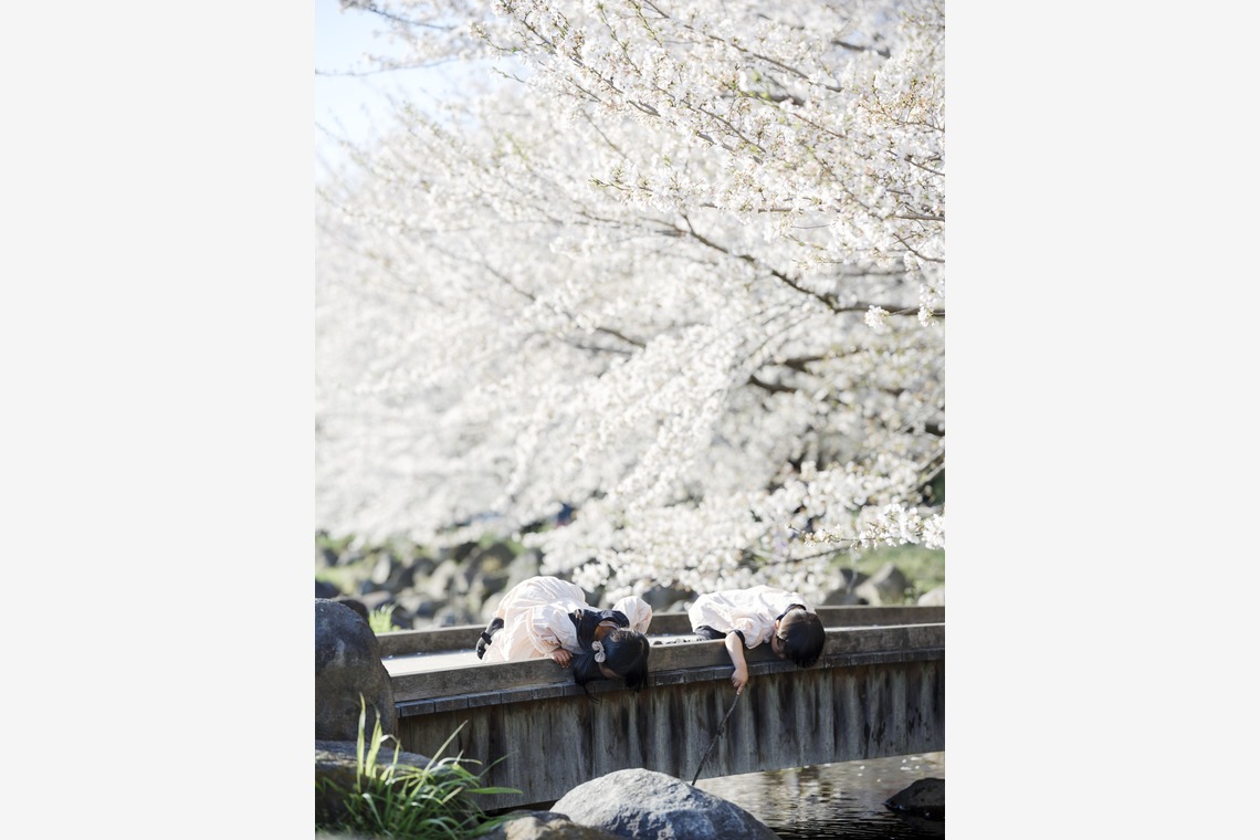 有限会社ワイヤリング