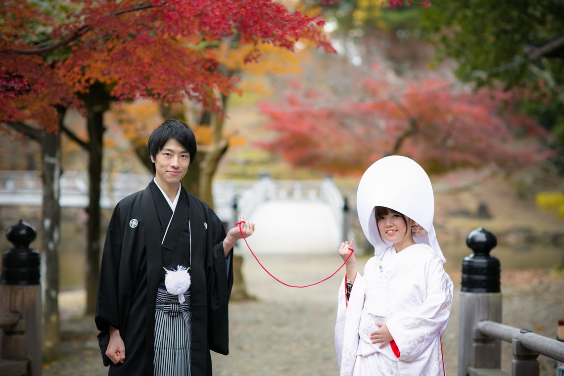 studio zeroが撮影した「奈良」の写真