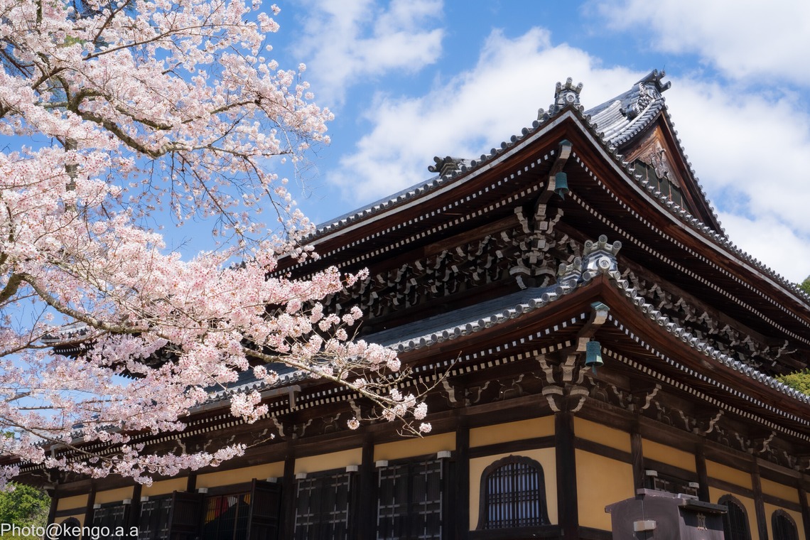株式会社バックオフィスアクティが撮影した「風景、建築物、料理」の写真
