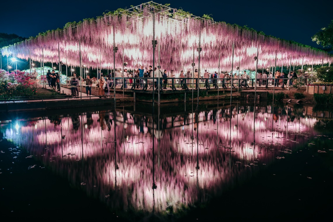 光画堂スタジオが撮影した写真のアルバム「旅行」