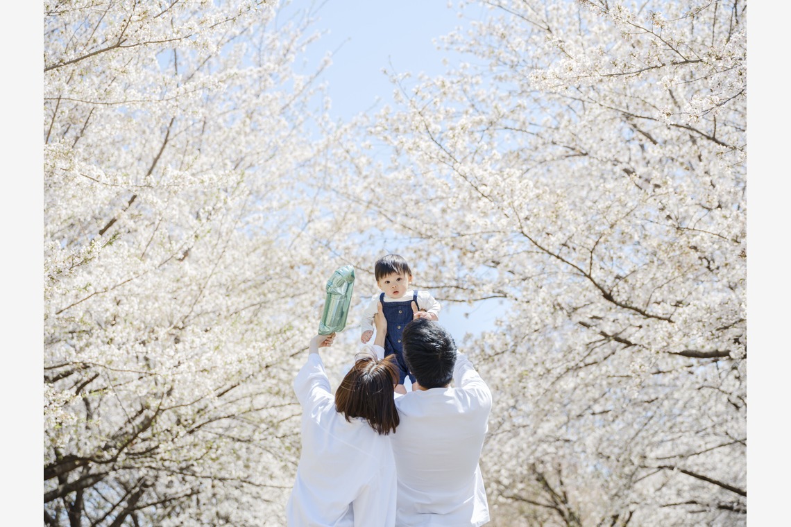 有限会社ワイヤリング