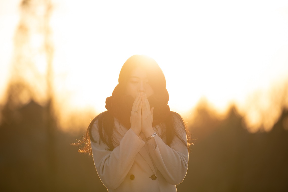 早川 陸が撮影した「サンプル写真」の写真