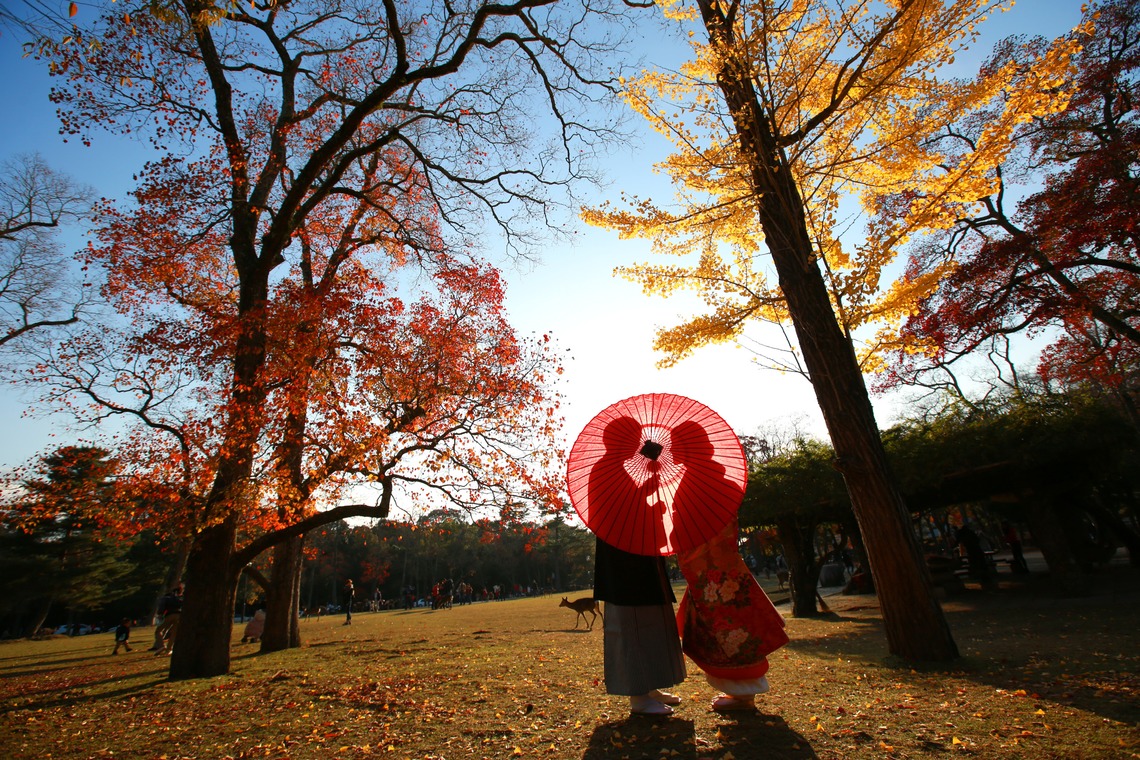 Hayashi Photo Worksが撮影した「奈良フォト」の写真