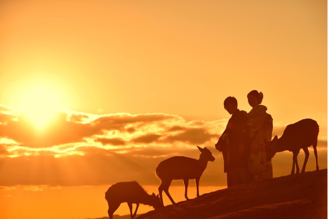 キキフォトワークスが撮影した「夕日」の写真