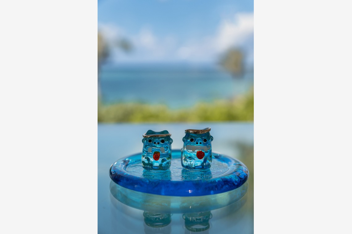 株式会社ラプラスが撮影した「室内及び屋外での物撮り」の写真