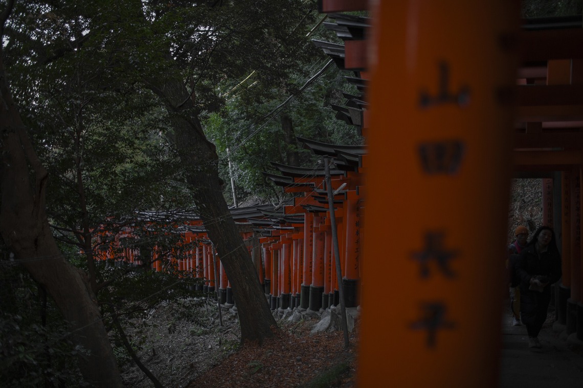 松見　翠が撮影した写真のアルバム「風景写真_神社_京都」