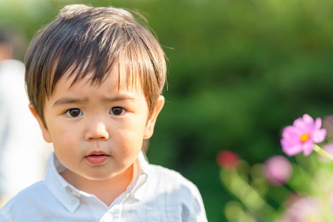 クリエイティブツリーが撮影した写真のアルバム「家族写真」