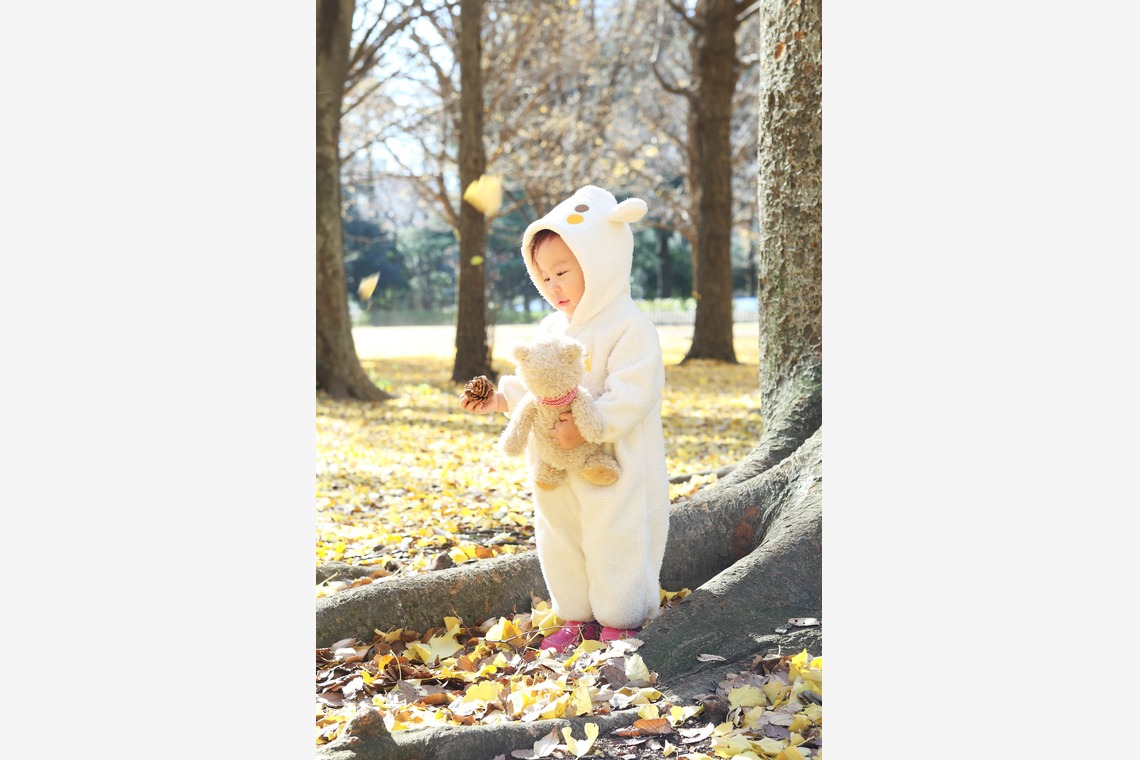 森安　照が撮影した「幼児、子供、赤ちゃん」の写真