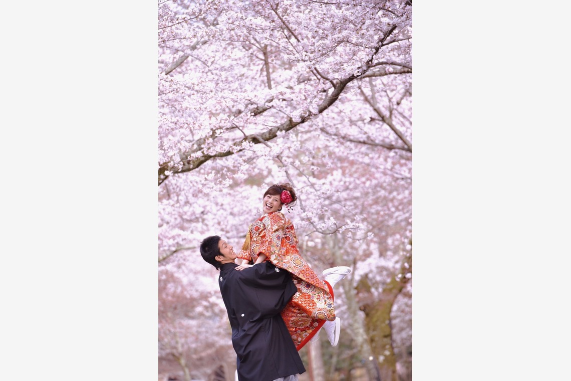 Album of the Wedding, Bridal taken by Kiki photo works - Pre Weddingphotoshoot in Nara park in the cherry blossom season