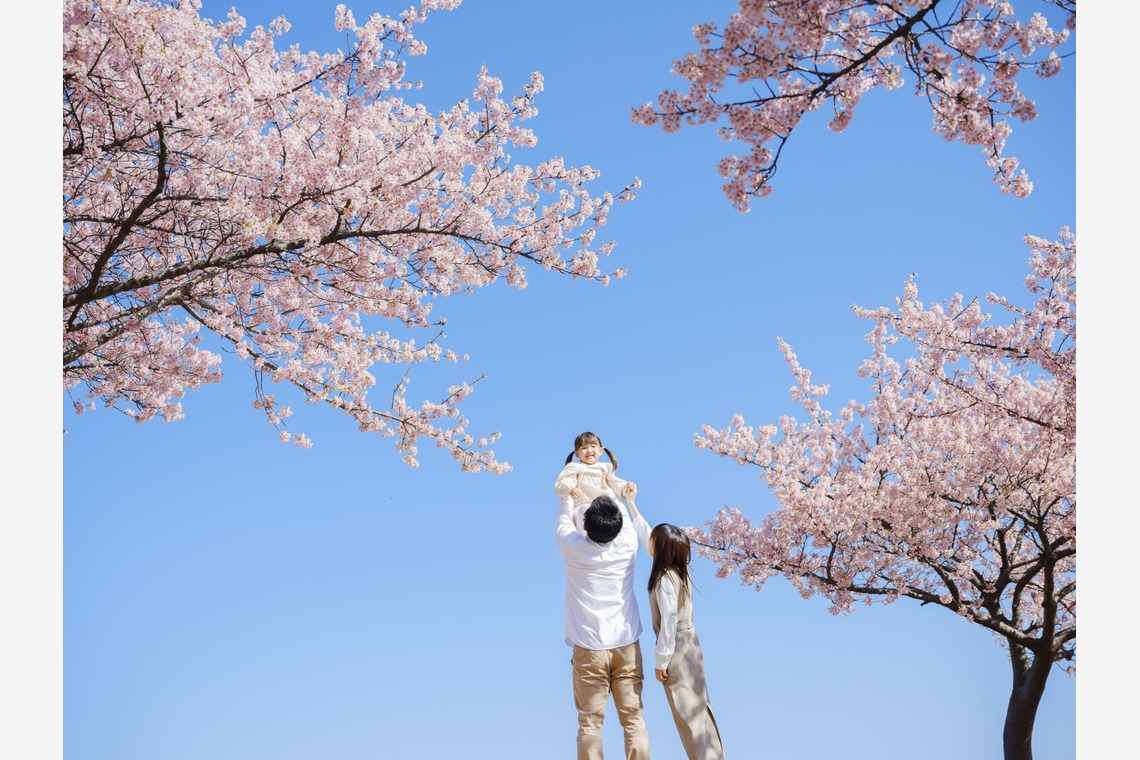 有限会社ワイヤリング