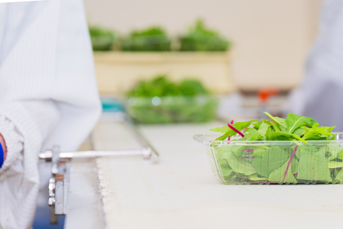出張撮影TLaboが撮影した「求人用　職場風景の撮影」の写真