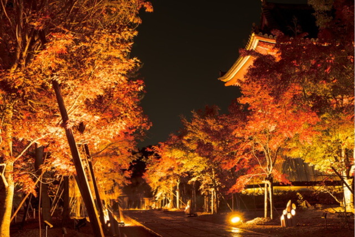 堀田佳資が撮影した「風景」の写真