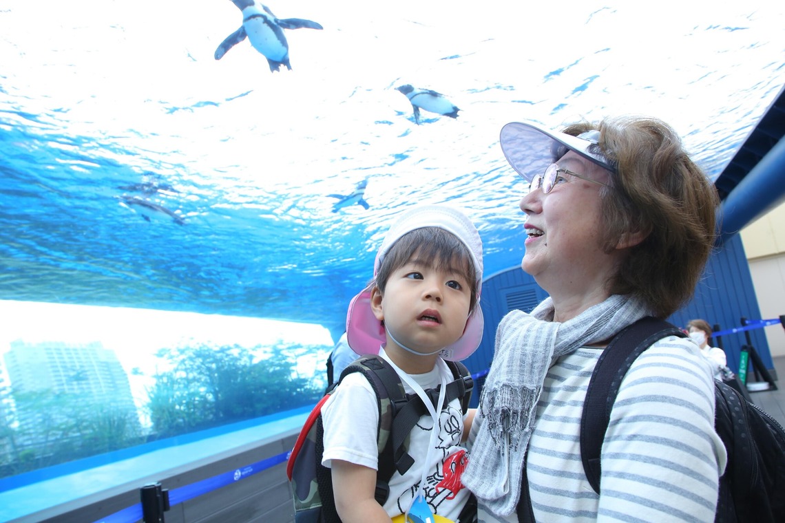 福井麻里が撮影した「スクールフォト」の写真
