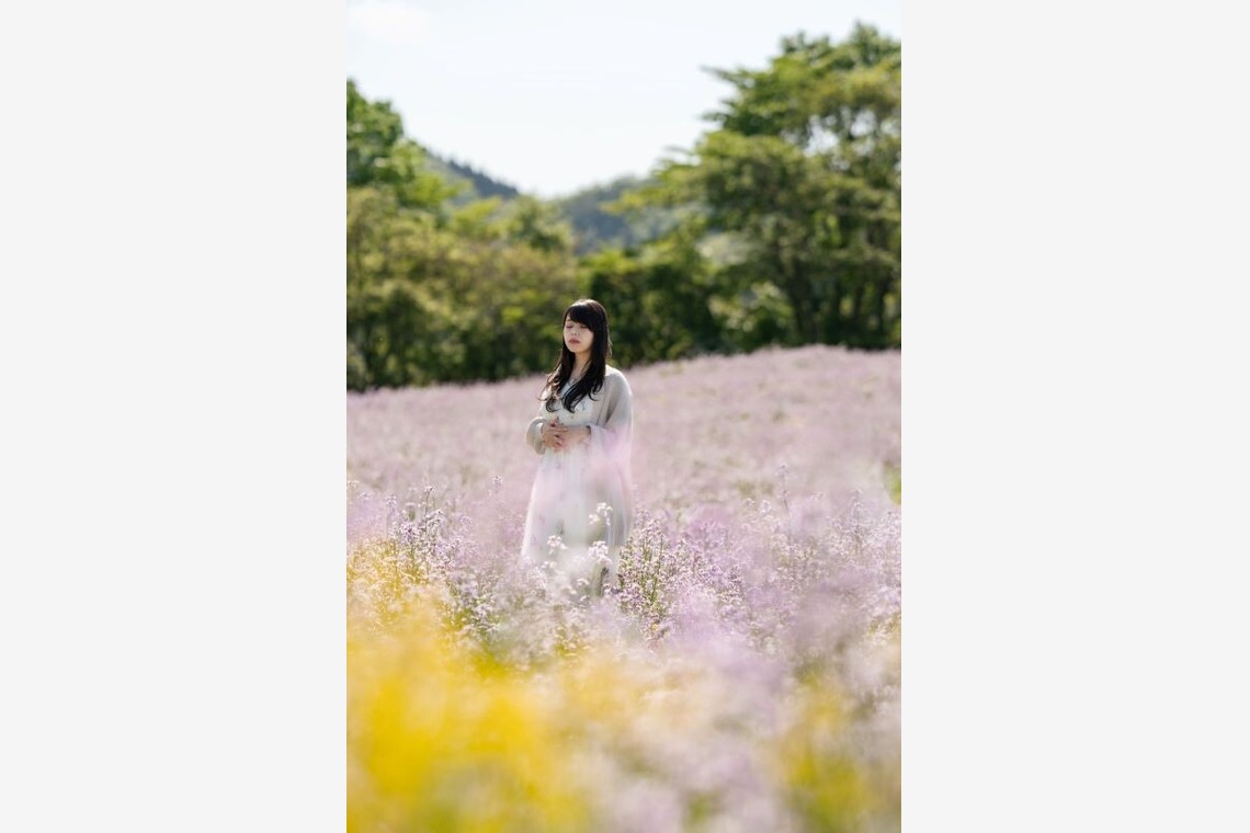 佐藤　克利が撮影した「宮城県、山形県、福島県、岩手県」の写真