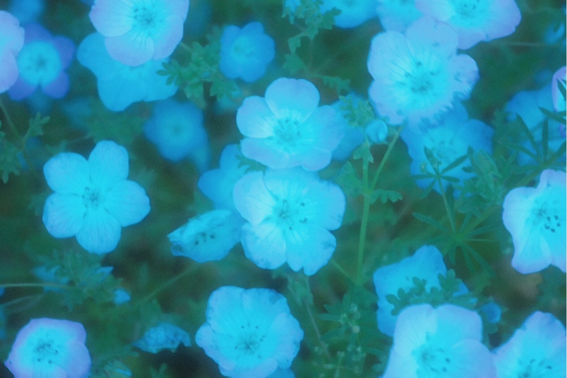 渡邉　麟