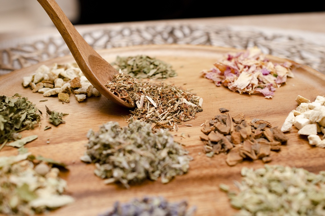 Photographer YUUKIが撮影した写真のアルバム「Yomogimushi Salon.」