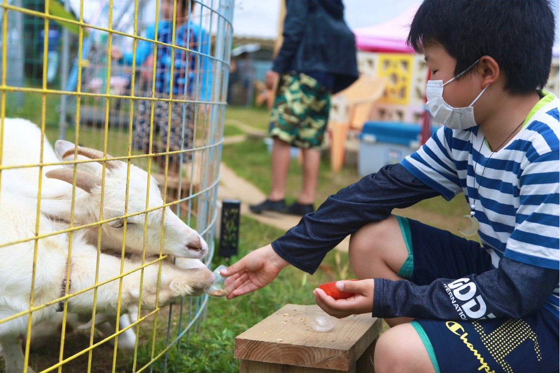 ateliemilyが撮影した写真のアルバム「子どもたち、引率カメラマン」