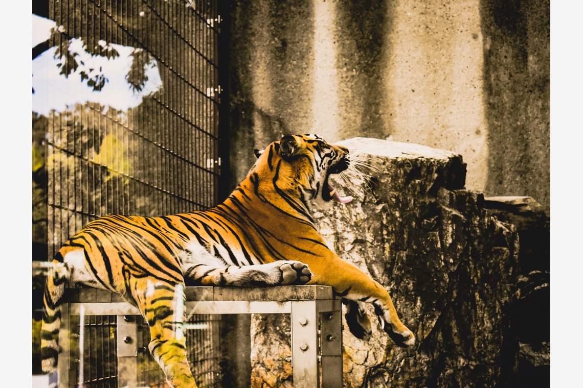 宮腰流弥が撮影した「過去作品」の写真