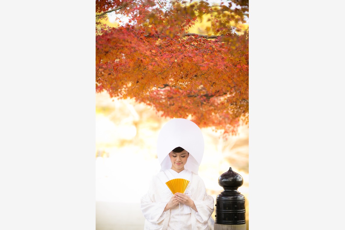 studio zeroが撮影した「奈良」の写真