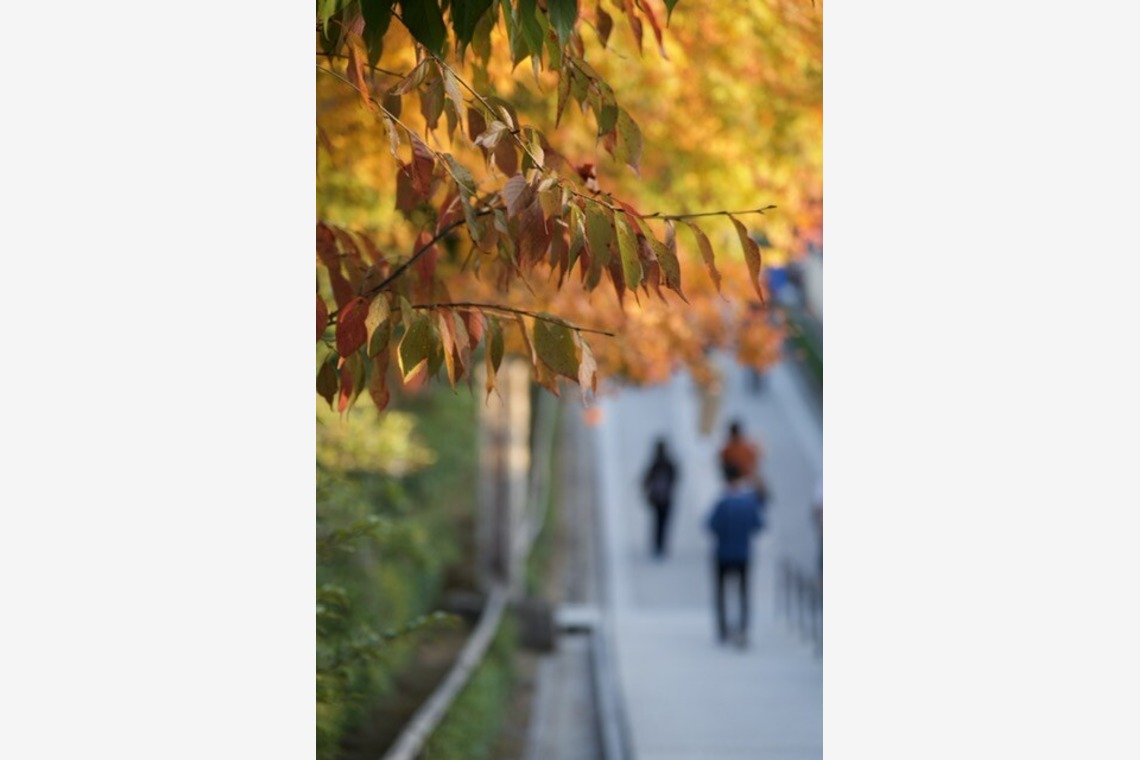 堀田佳資が出張撮影した家族写真(キッズ,ベビーフォト)などが写った「風景」の家族写真