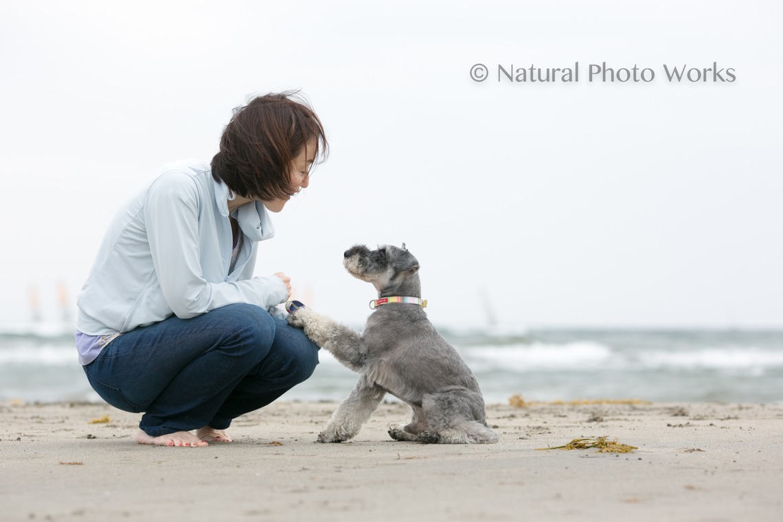 Keiko Yuzawaが撮影した写真のアルバム「ペット」