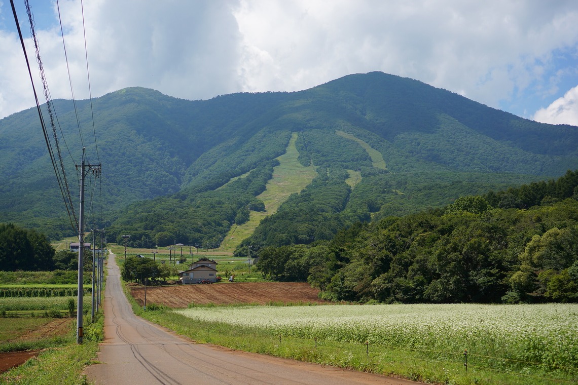 出張撮影のメモリーズが撮影した「nature-アラカルト」の写真