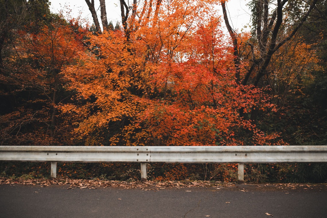 大坪幹武が撮影した「風景写真」の写真