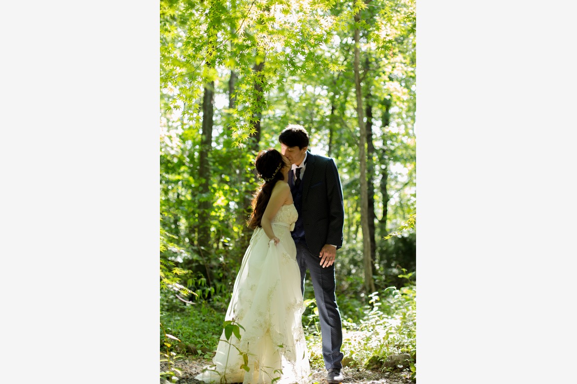 My Style Garden Studio が撮影した「夏」の写真