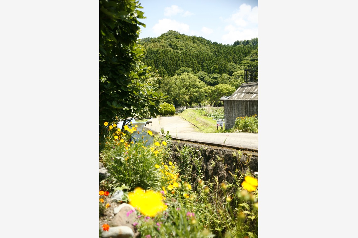 blink photoが撮影した「風景」の写真