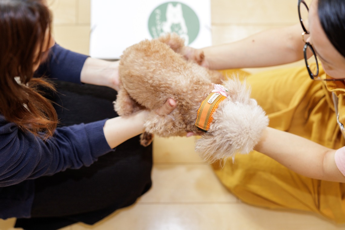 内田　雄一が撮影した写真のアルバム「HP用・企業PR・SNS用・ビジネスシーン」