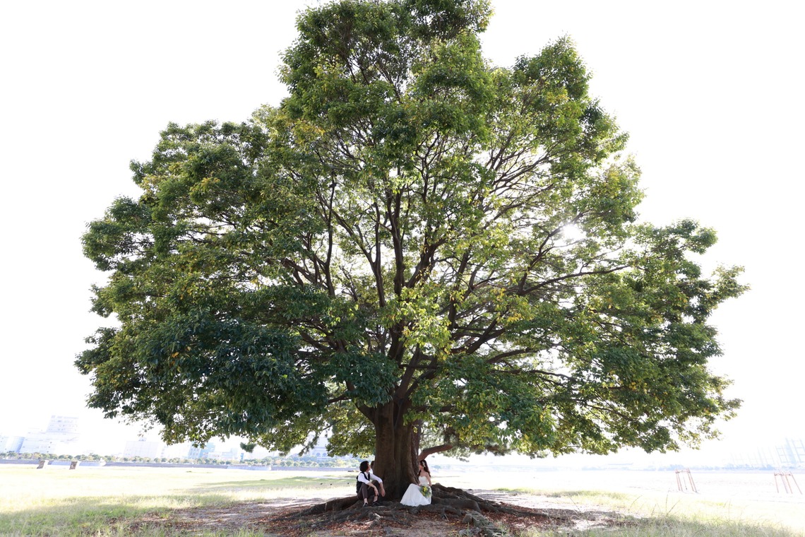 ラプラージュフォトスタジオ