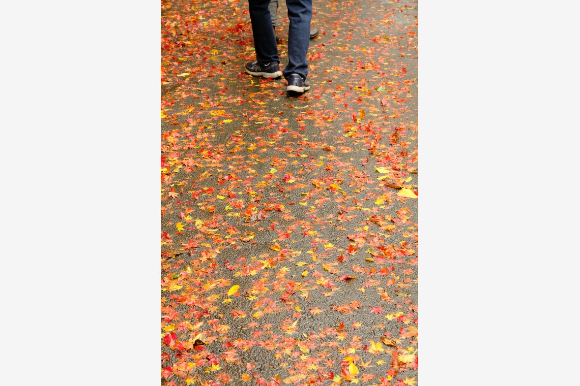 KotobukiPhotosが撮影した写真のアルバム「風景」