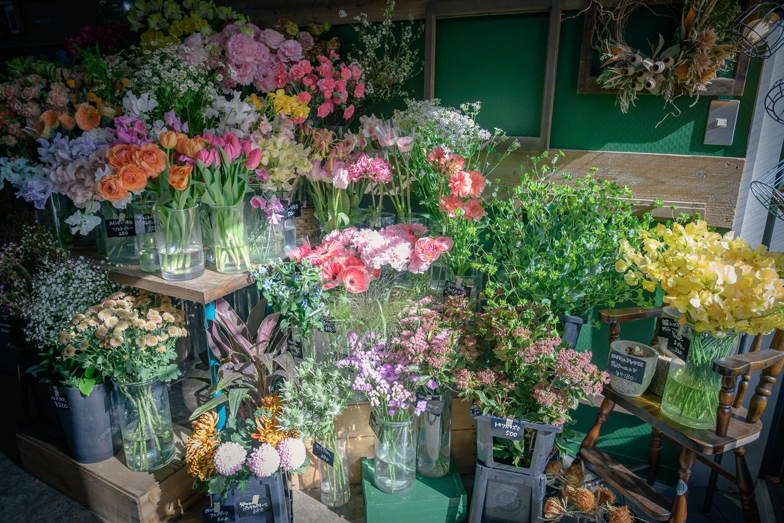 戸澤麻衣が撮影した写真のアルバム「お花屋さんの撮影」