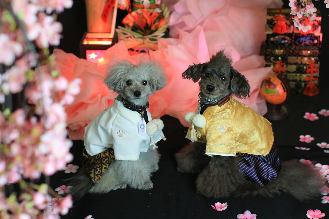 高橋 透（Coo&Sea STUDIO代表）が出張撮影した家族写真(キッズ,ベビーフォト)などが写った「お正月撮影会2020@新横浜Coo&Sea STUDIO」の家族写真