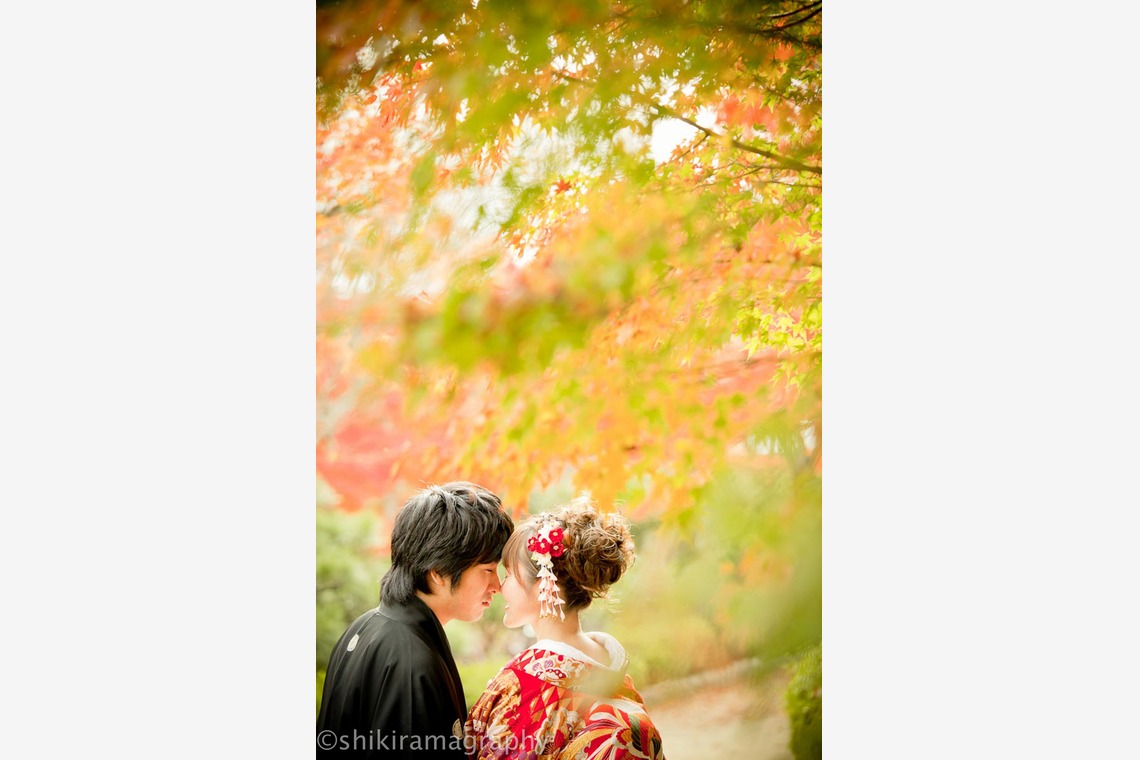 シキラマ グラフィーが撮影した「和装・紅葉」の写真