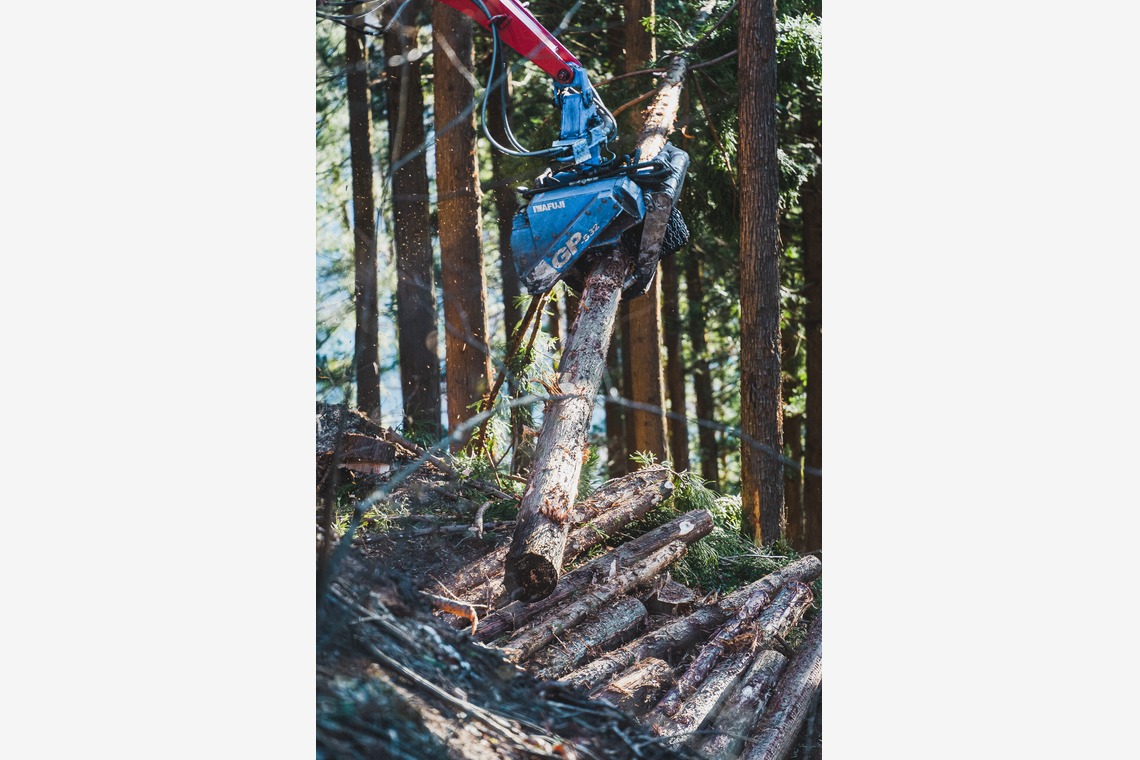 studio9thが撮影した写真のアルバム「群馬県多野郡 / 森林組合の現場作業風景」