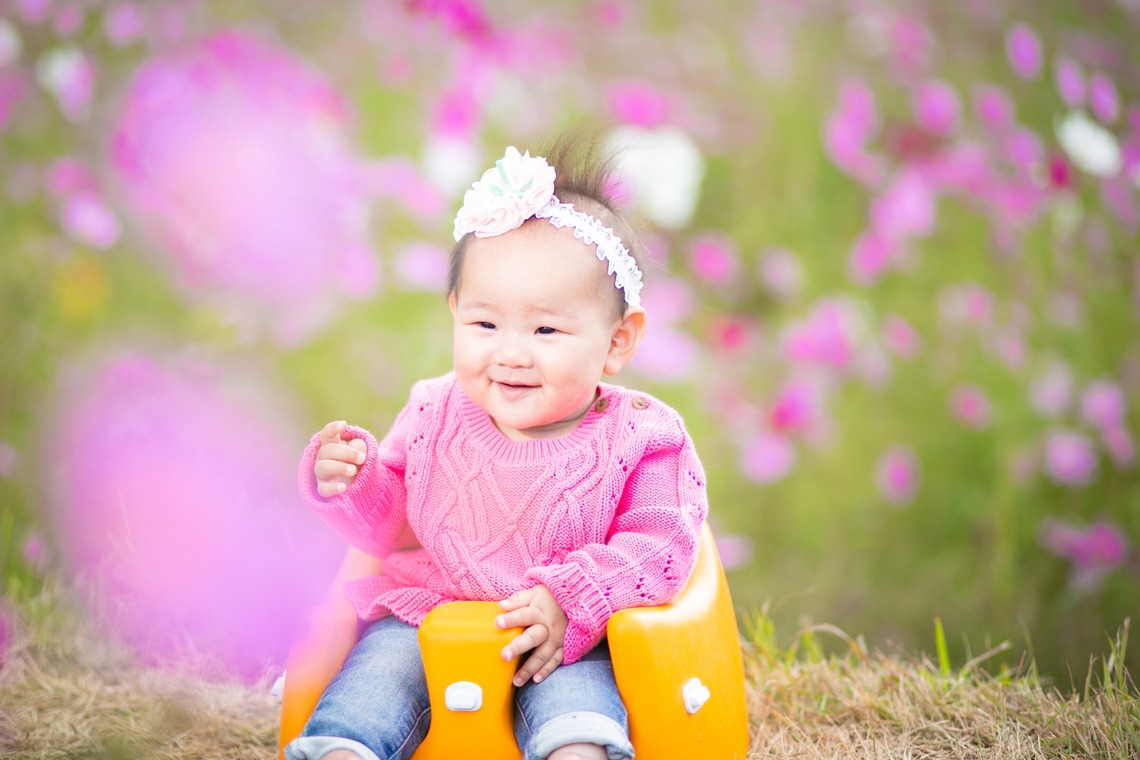 酒井大輔が撮影した「七五三撮影、家族写真」の写真