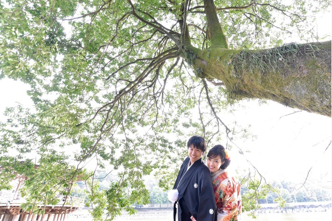 キキフォトワークスが撮影した「奈良公園でのロケーション撮影と神社でのご祈祷」の写真