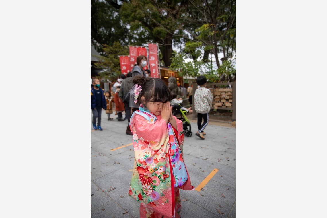 岩坪眞一郎が撮影した七五三フォトのアルバム「家族で七五三お宮参り」