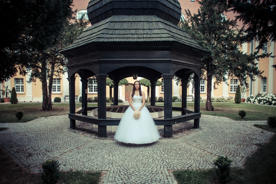 Wedding Photography Dubaiが撮影した「ドバイで???カメ」の写真