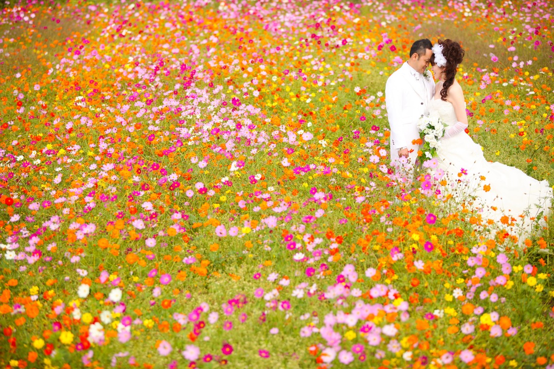 Photo of  taken by HAYASHI PHOTO STUDIO