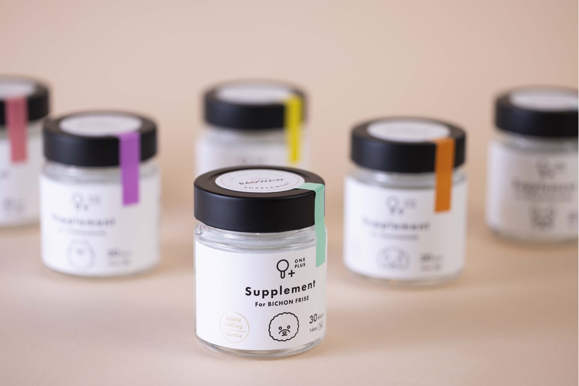 アオスタジオが撮影した「実績」の写真